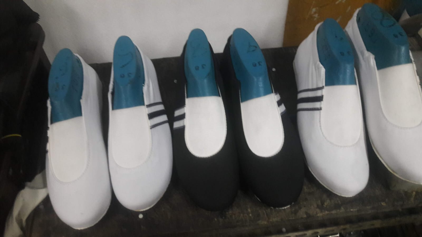 Zapatillas de Gimnasia