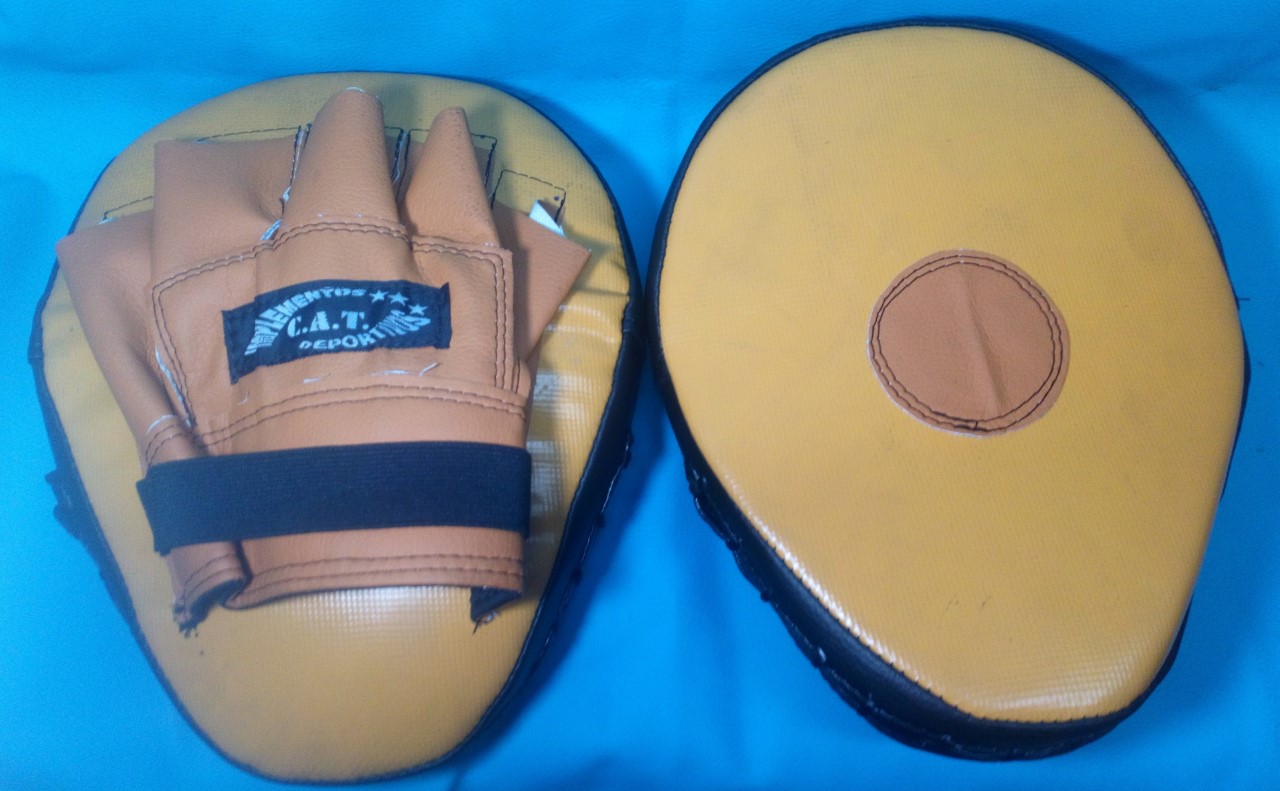 Manoplas para Entrenamiento - Imagen 7